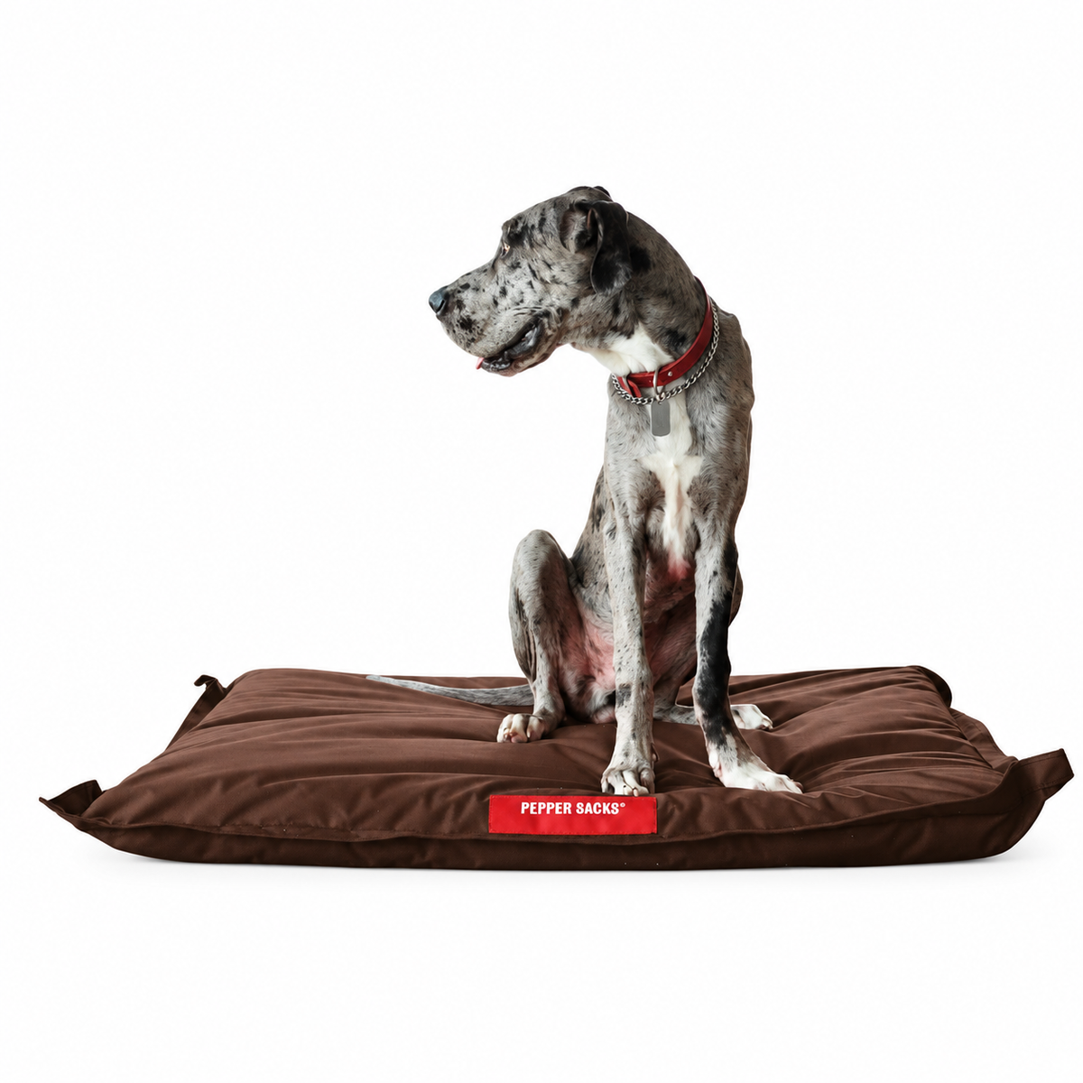 Cama Jack