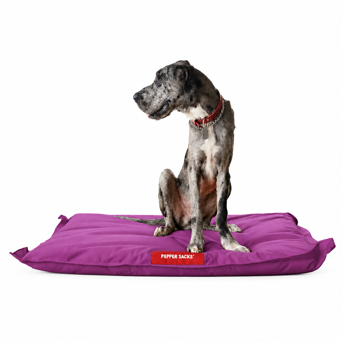 Cama Jack