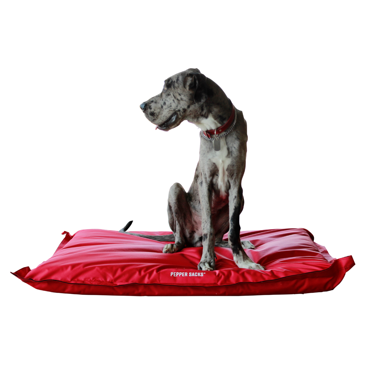 Cama Jack