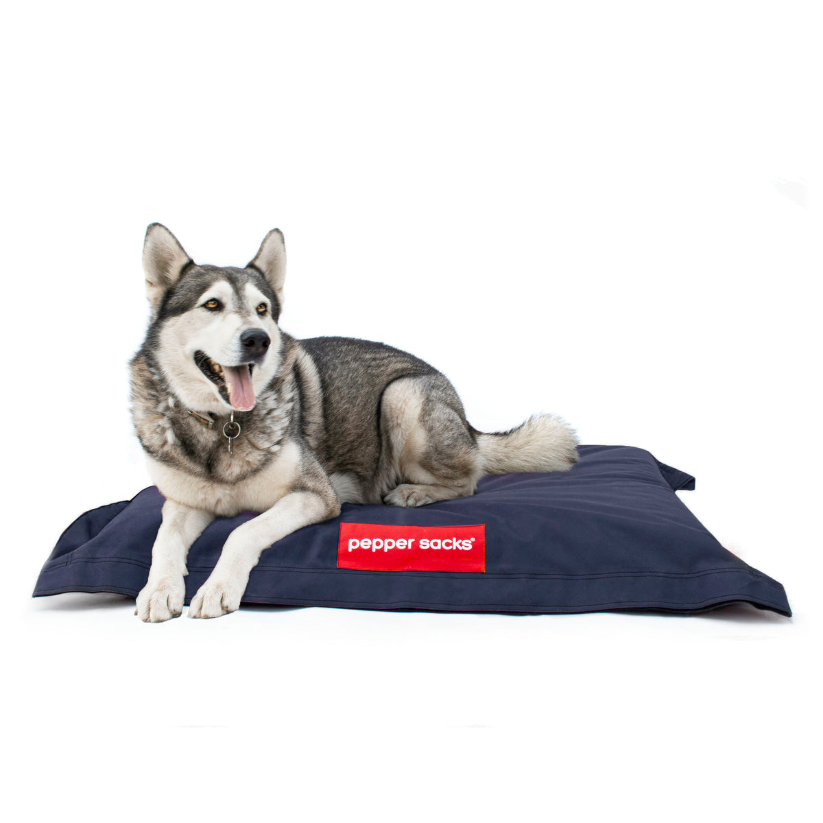 Cama Jack