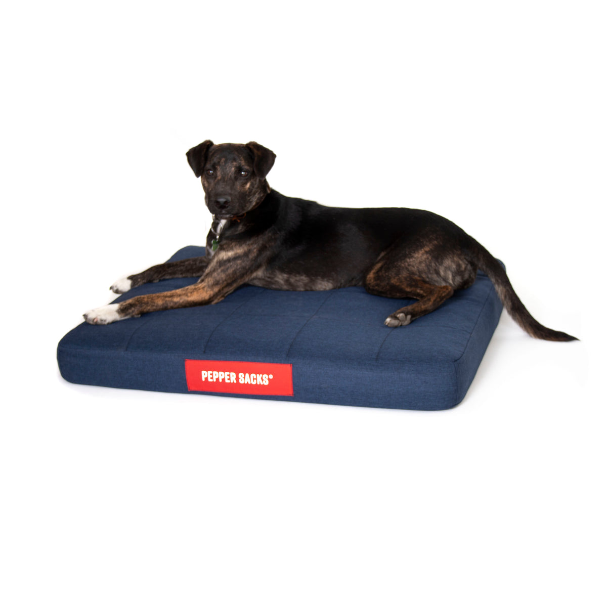 Cama Foster Impermeable Lavable