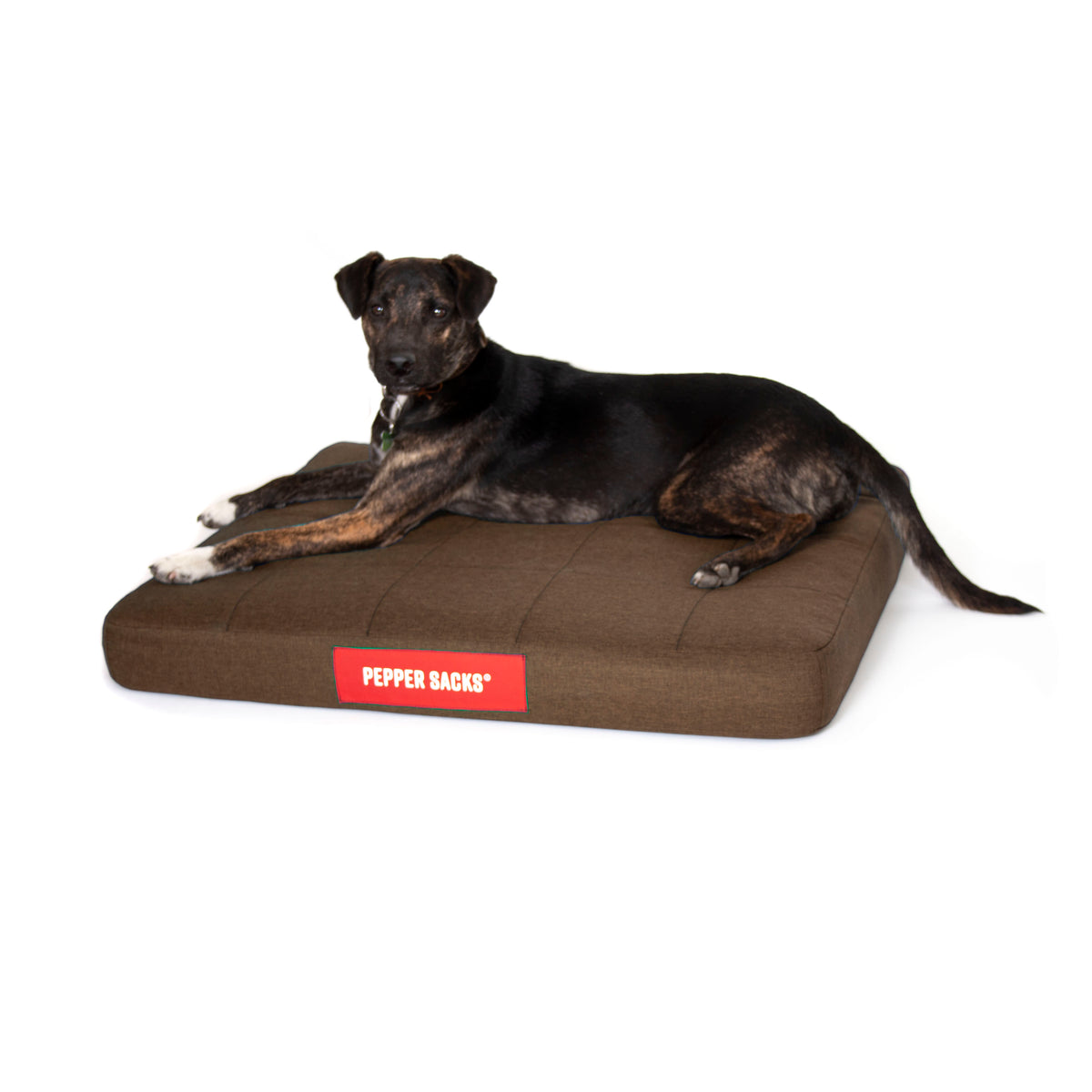 Cama Foster Impermeable Lavable