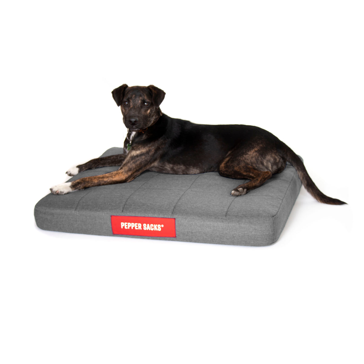 Cama Foster Impermeable Lavable