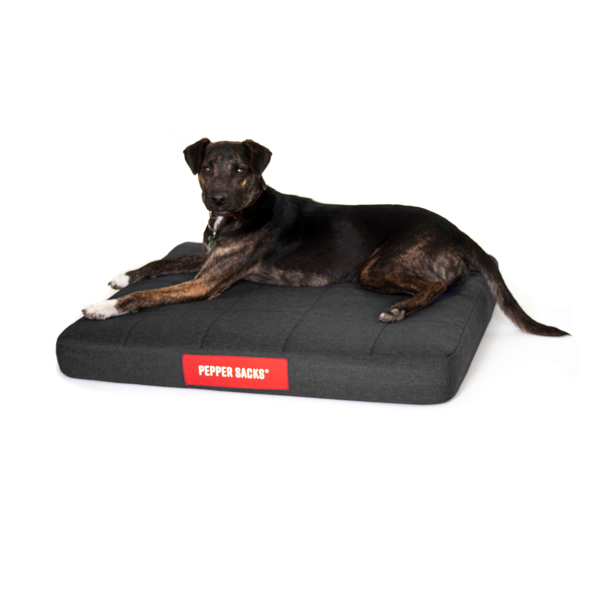 Cama Foster Impermeable Lavable