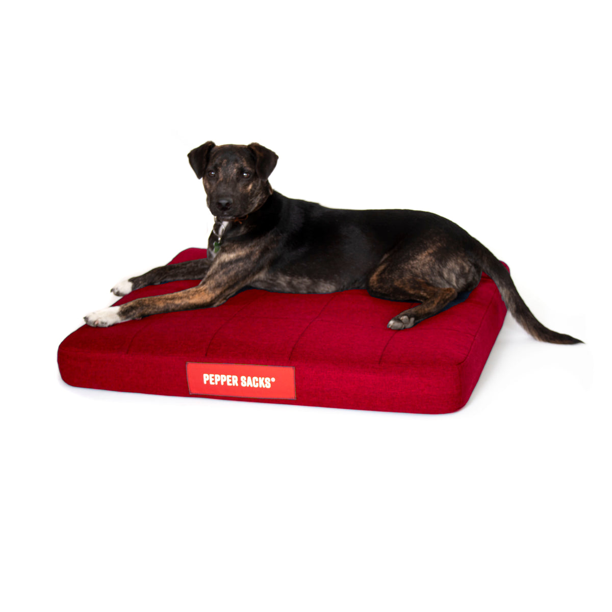 Cama Foster Impermeable Lavable