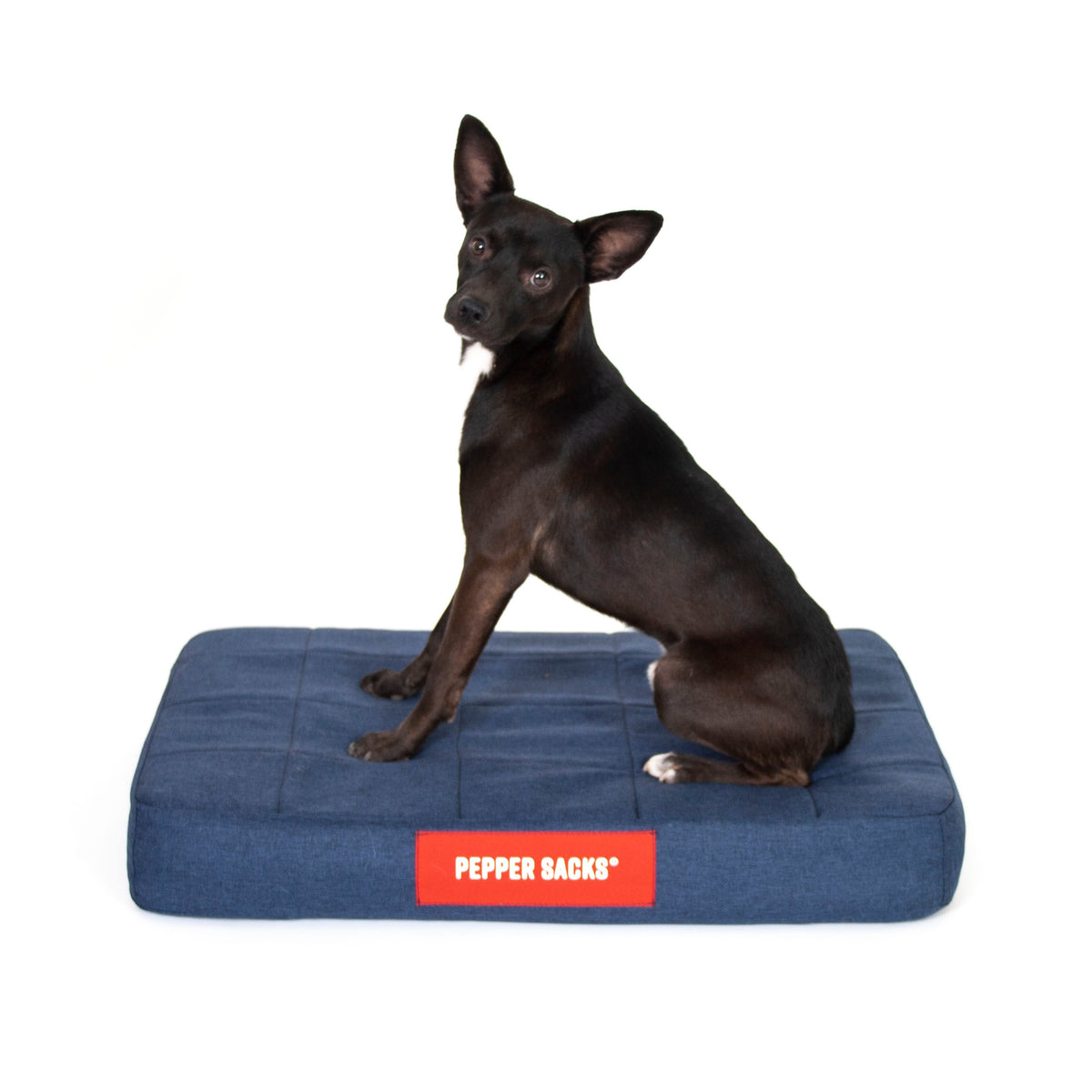 Cama Foster Impermeable Lavable