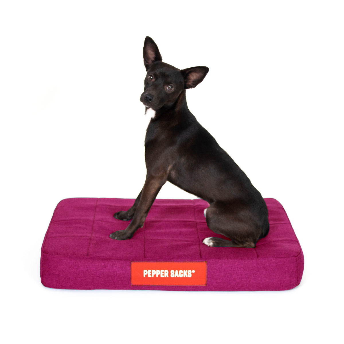 Cama Foster Impermeable Lavable