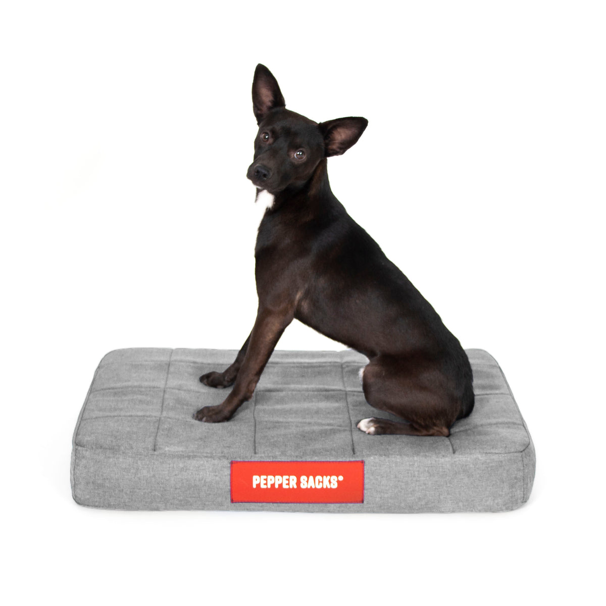 Cama Foster Impermeable Lavable