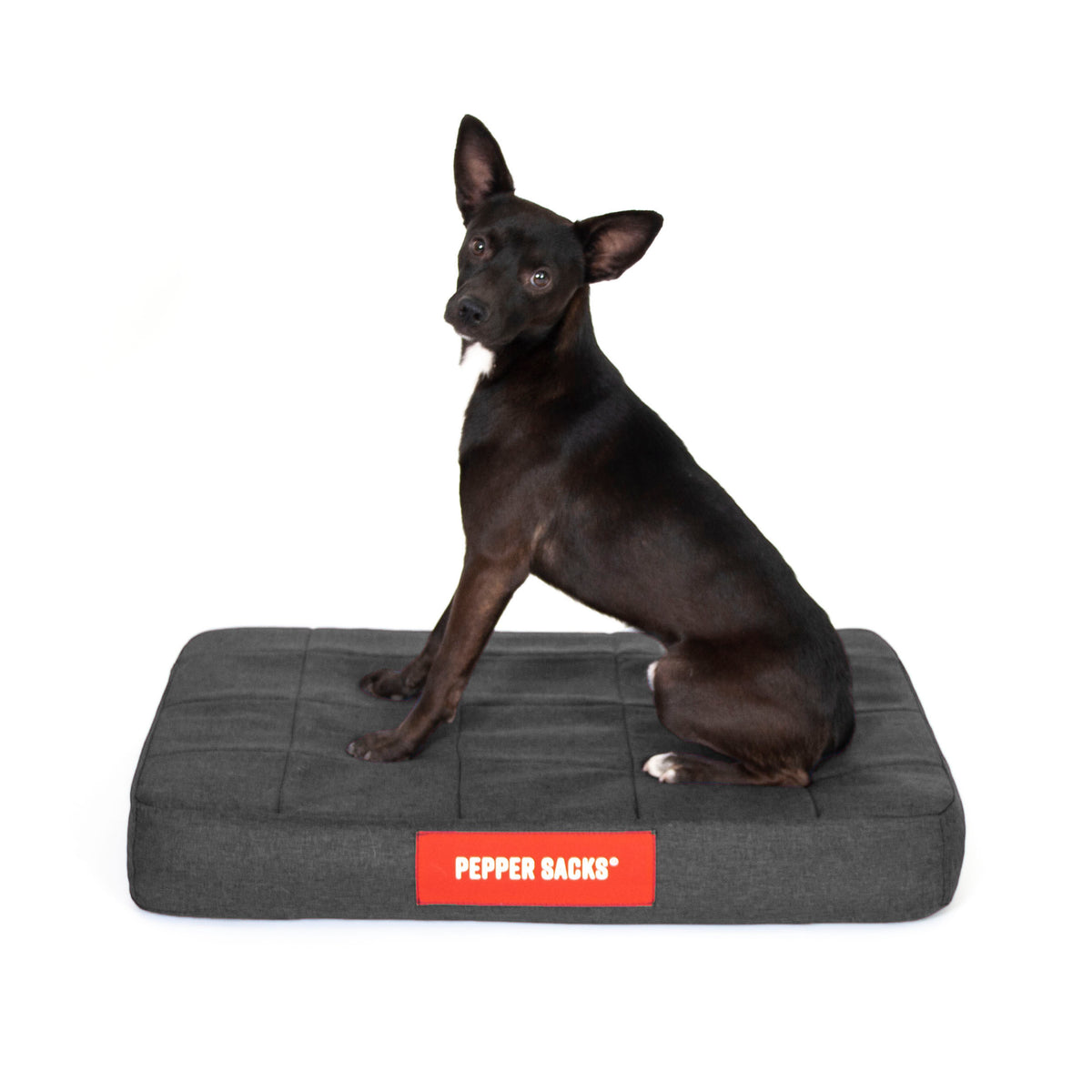 Cama Foster Impermeable Lavable
