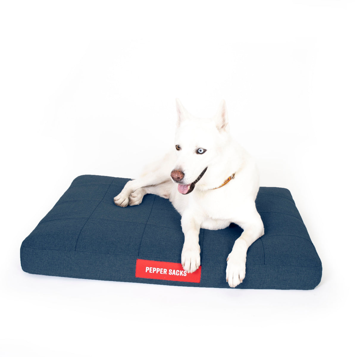 Cama Foster Impermeable Lavable