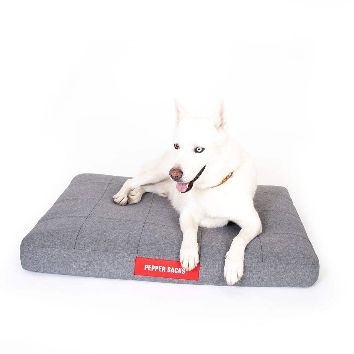 Cama Foster Impermeable Lavable
