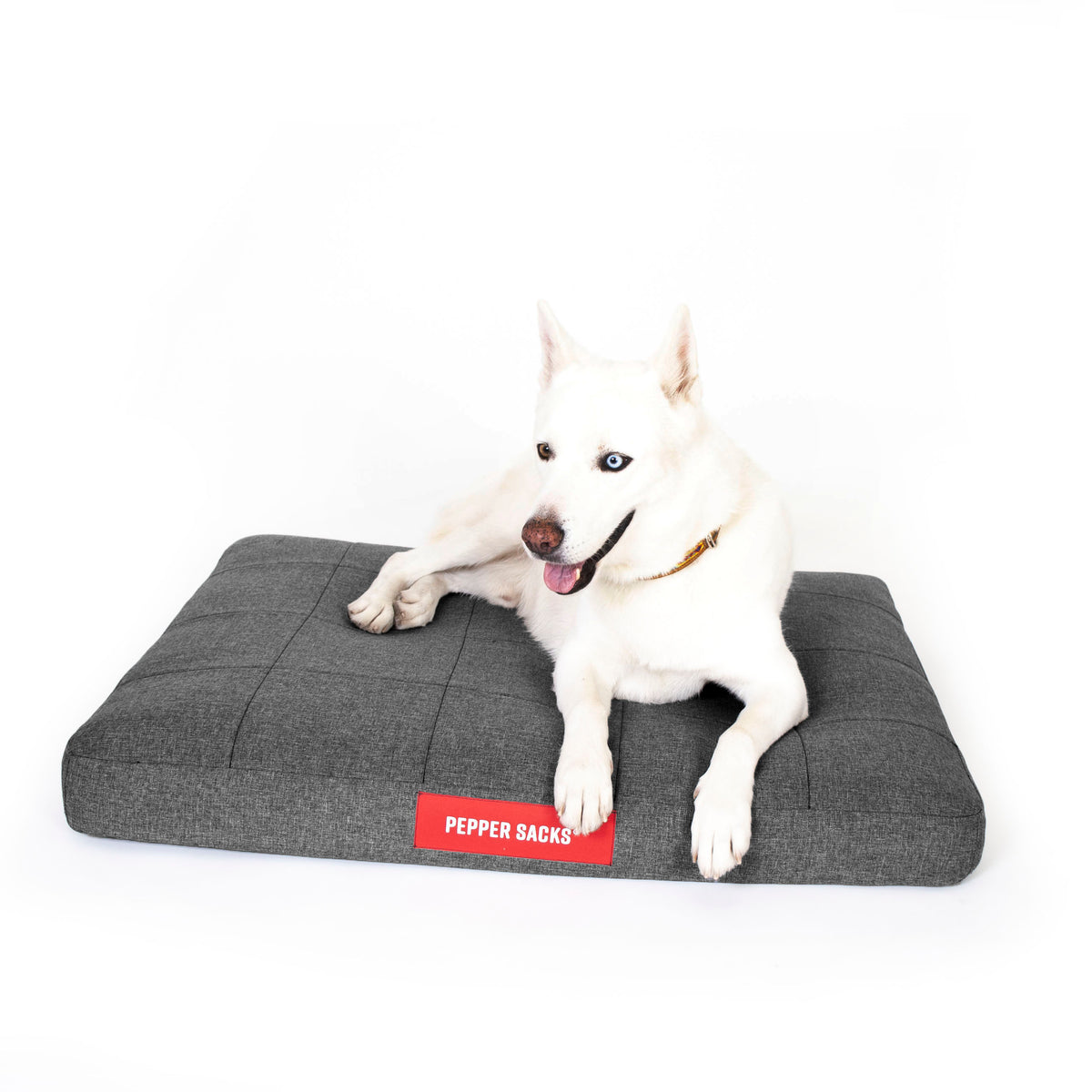 Cama Foster Impermeable Lavable