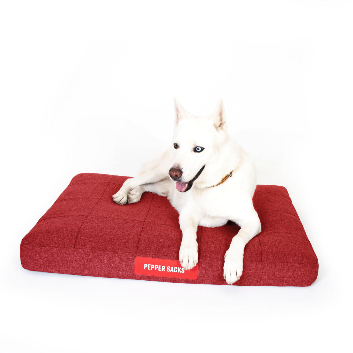 Cama Foster Impermeable Lavable