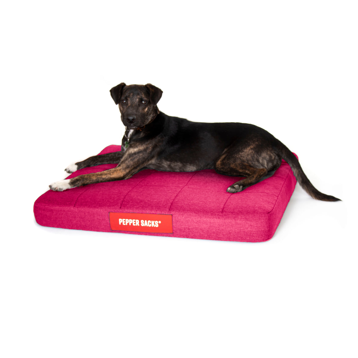 Cama Foster Impermeable Lavable