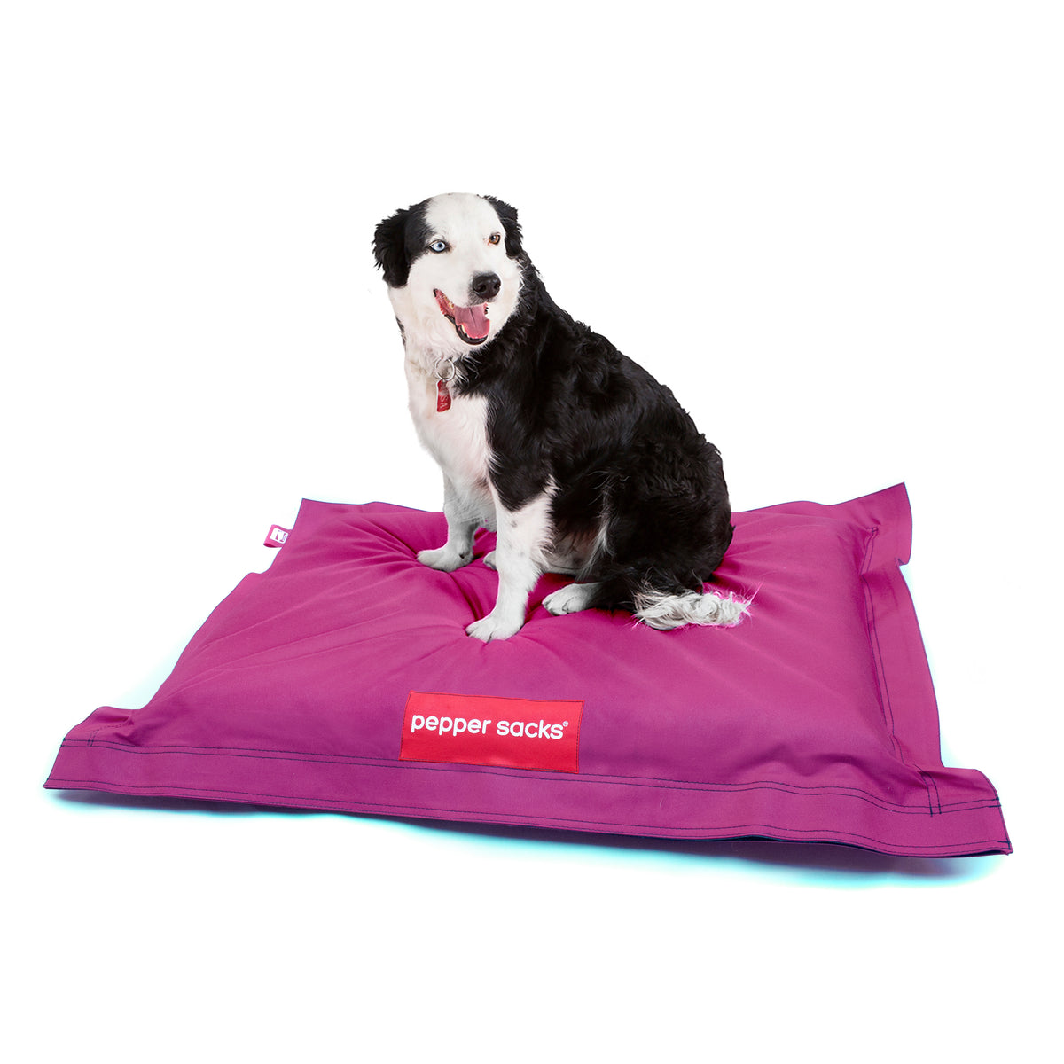 Cama Jack